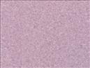 Eclipse-BE64-Calming-Lilac
